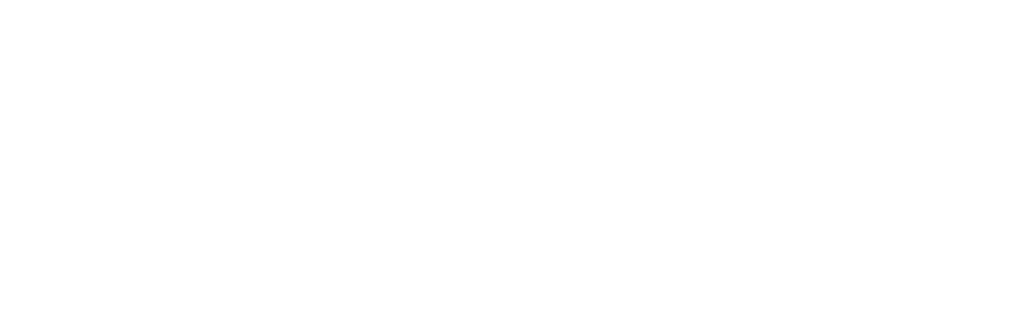 Sub Zero Winter Services Christmas Light Installation Logo